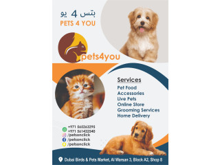 PET GROOMING /LIVE PETS